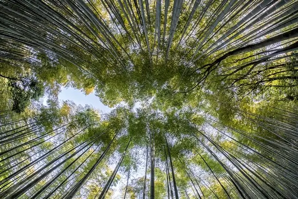 protection environnement