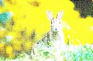 impression-photo-incorrecte