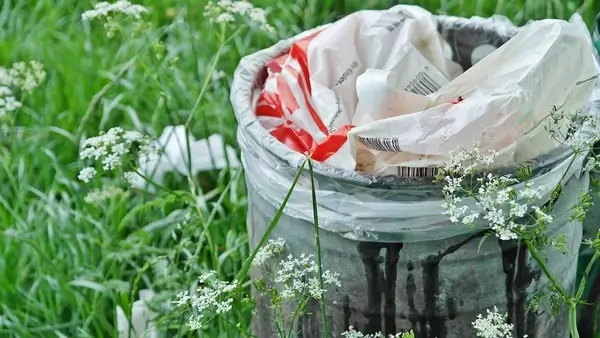 dégradation déchets nature