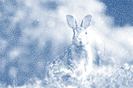 impression-photo-bleutee