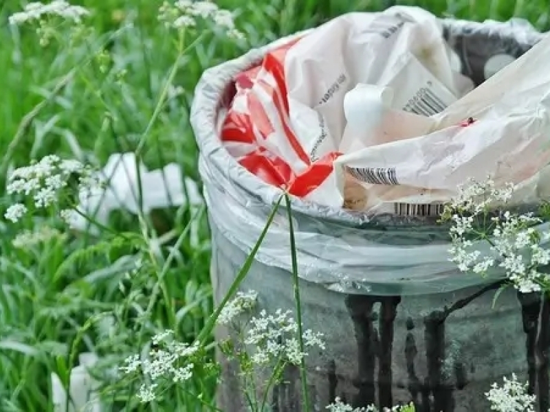  Quelle est la durée de vie des déchets dans la nature ?