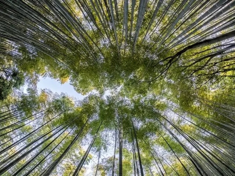  Agenda 2017 des événements sur le développement durable
