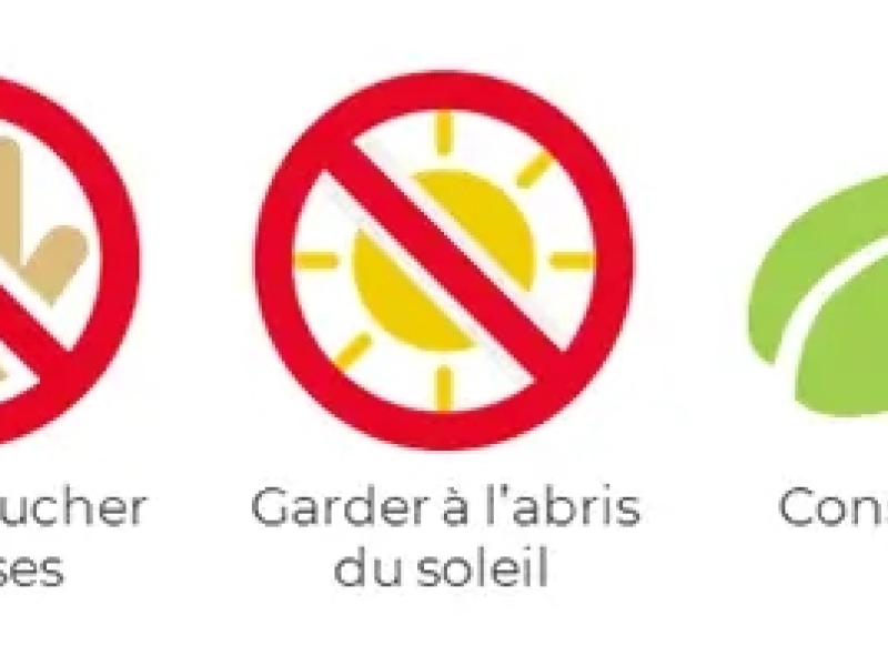  Comment conserver une cartouche d'encre déjà ouverte ?