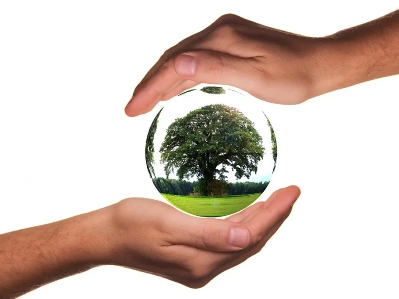  L'engagement environnemental de Selecteo